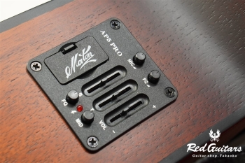 EBW808C - Blues Burst 